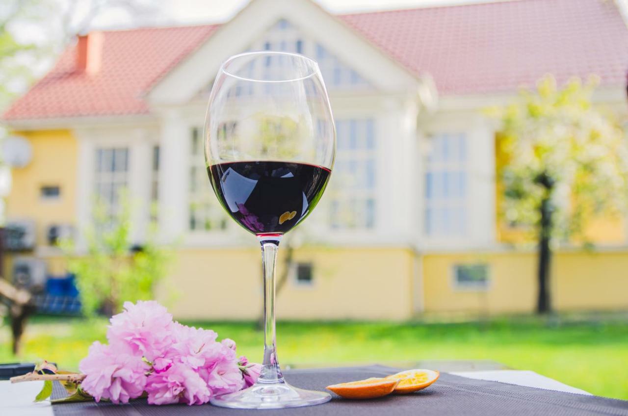 Boutique Hotel Villa P Ujgorod Dış mekan fotoğraf